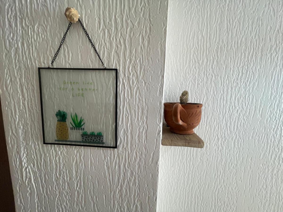We Surf Morocco Boutique House Hostel Taghazout Luaran gambar